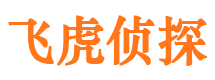 马村侦探公司